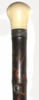 American Bamboo and Ivory Tipped Cane, 19thC