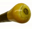 American Bone Handled Cane, Circa 1900
