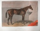 English Hand Colored Engraving Dated 1850