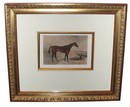 English Hand Colored Engraving, Dated 1850 