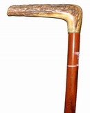 Horn Handled Walking Stick 19th Century