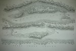 Map of Goose Creek Island Kentucky 1835