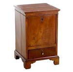 English Provincial Mahogany Bedside Cabinet 19th Century